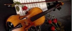 bandas-para-casamentos-e-festas-teofilo-otoni-1354105400