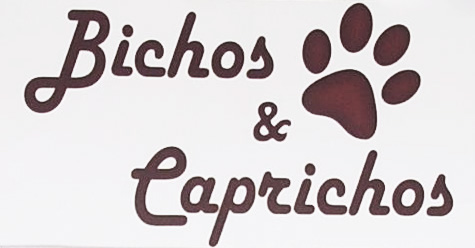 Bichos e Caprichos - Foto 1