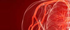 angiologia-xxxx-1354549357