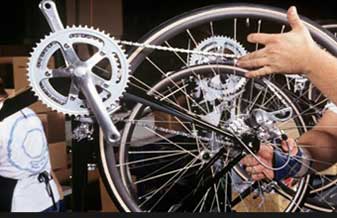 Bernardi Cicle - Foto 1