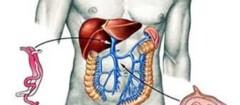 gastroenterologia-xxxx-1354843028