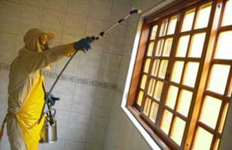 Dedetizadora e Desentupidora Francispiso - Foto 1