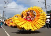 UAIs funcionamento alterado Carnaval MG