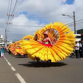 UAIs funcionamento alterado Carnaval MG