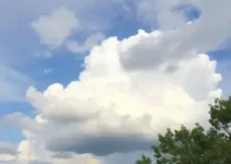 céu parcialmente limpo