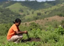 Minas Novas programa terra de minas