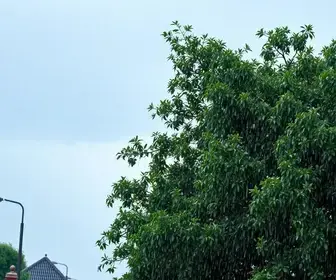 chuva de granizo