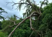 temporal em Teófilo Otoni